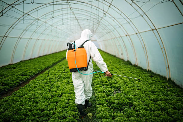 Best Exterminator Services  in Garden City, SC