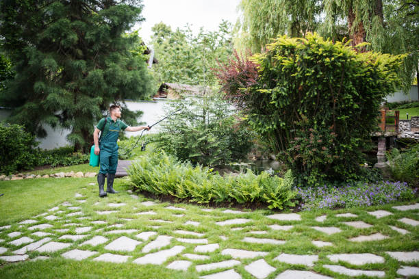Best Ant Control Services  in Garden City, SC